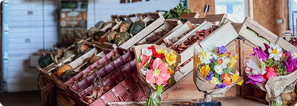 magasin de Savez-vous planter les choux